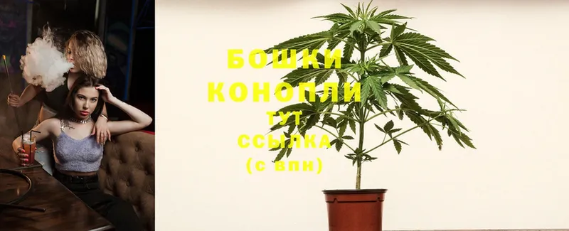 Канабис OG Kush  наркотики  Новоалтайск 